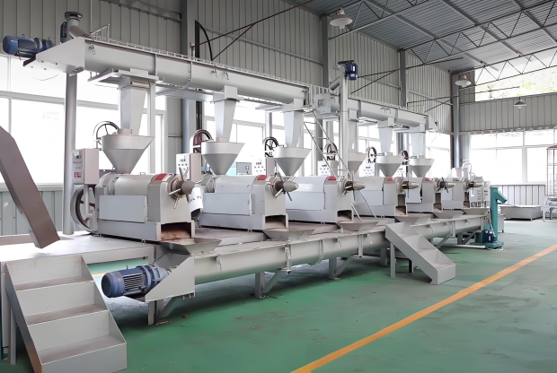 牡丹籽榨油设备生产线